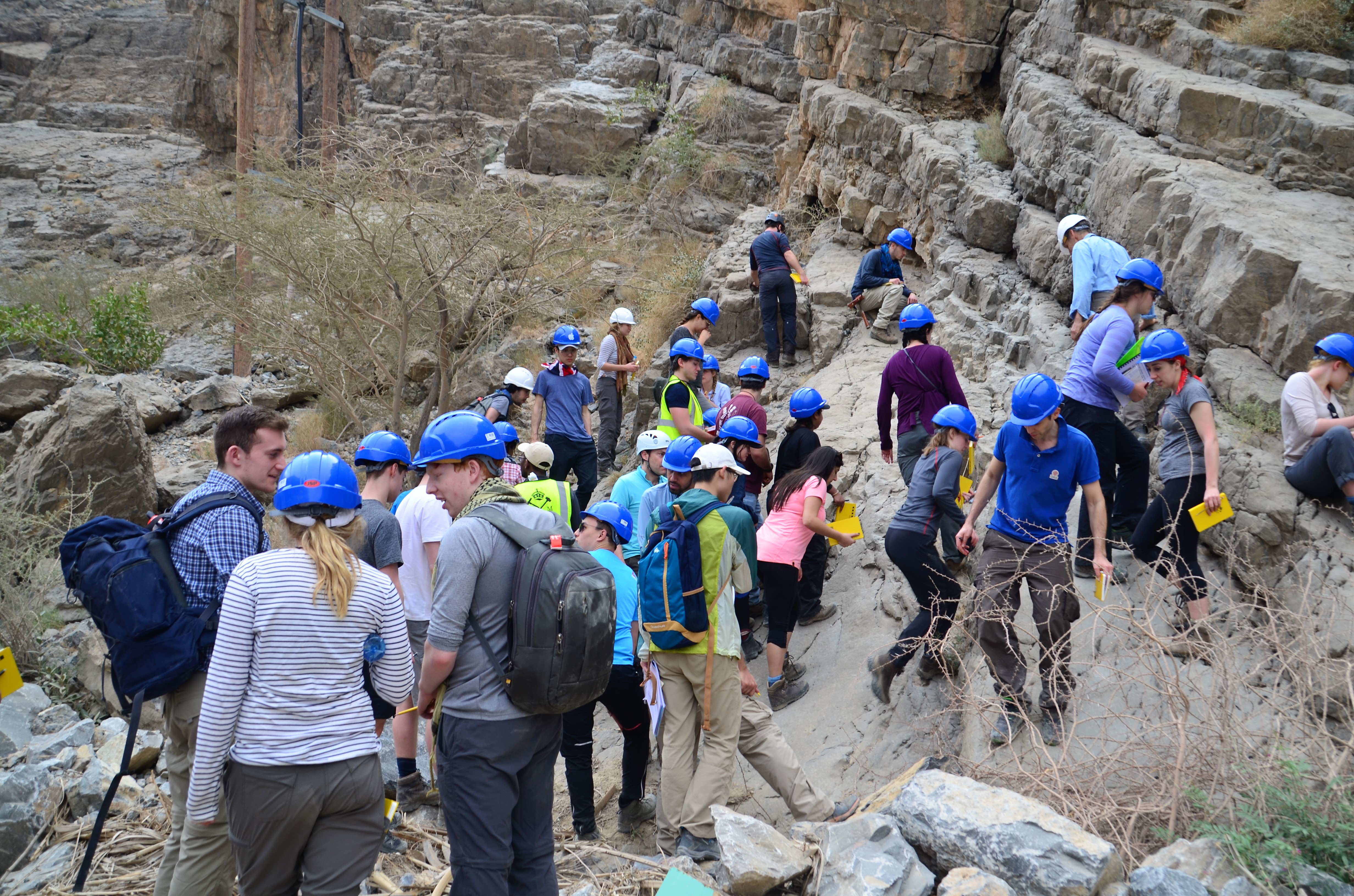 Oman field course