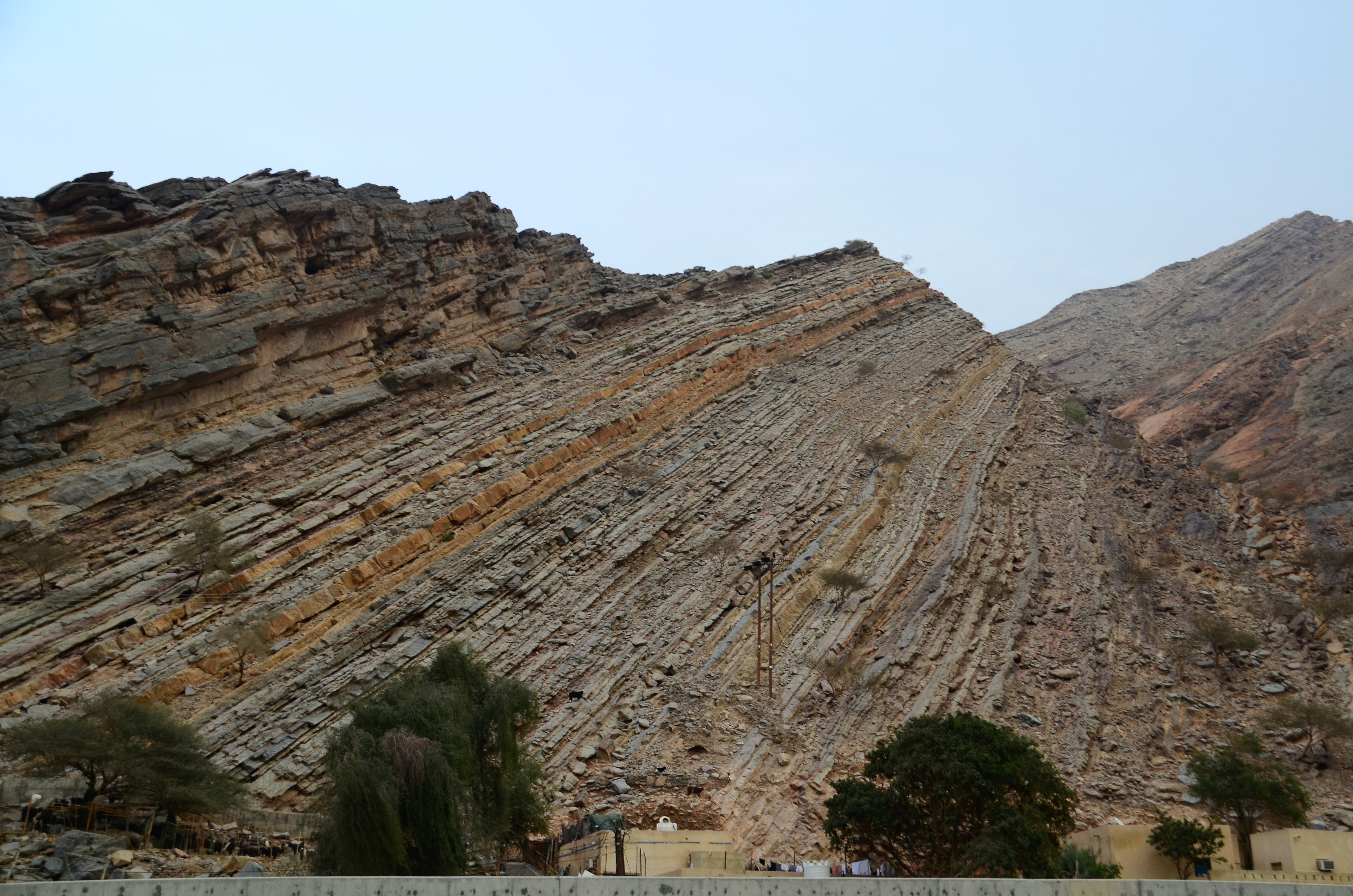 Oman field course