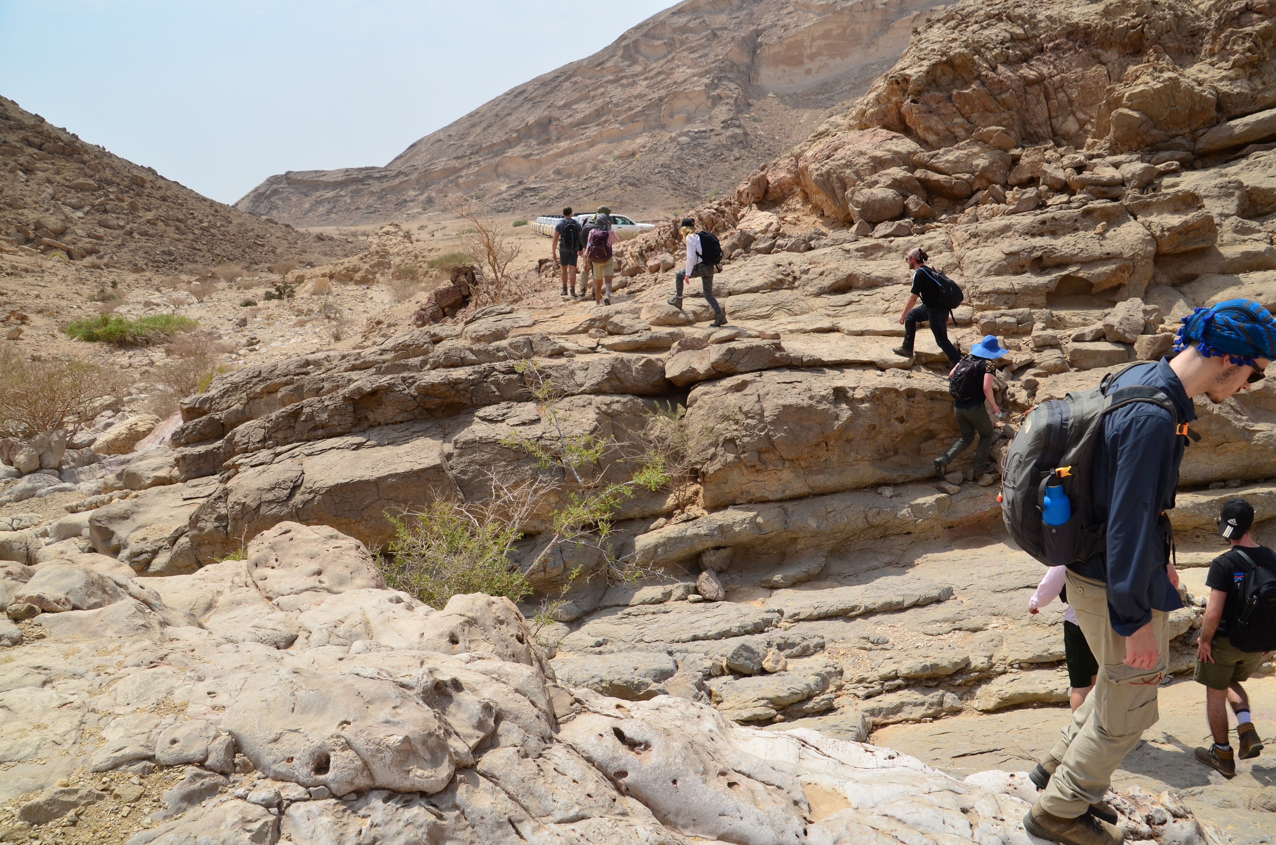 Oman field course