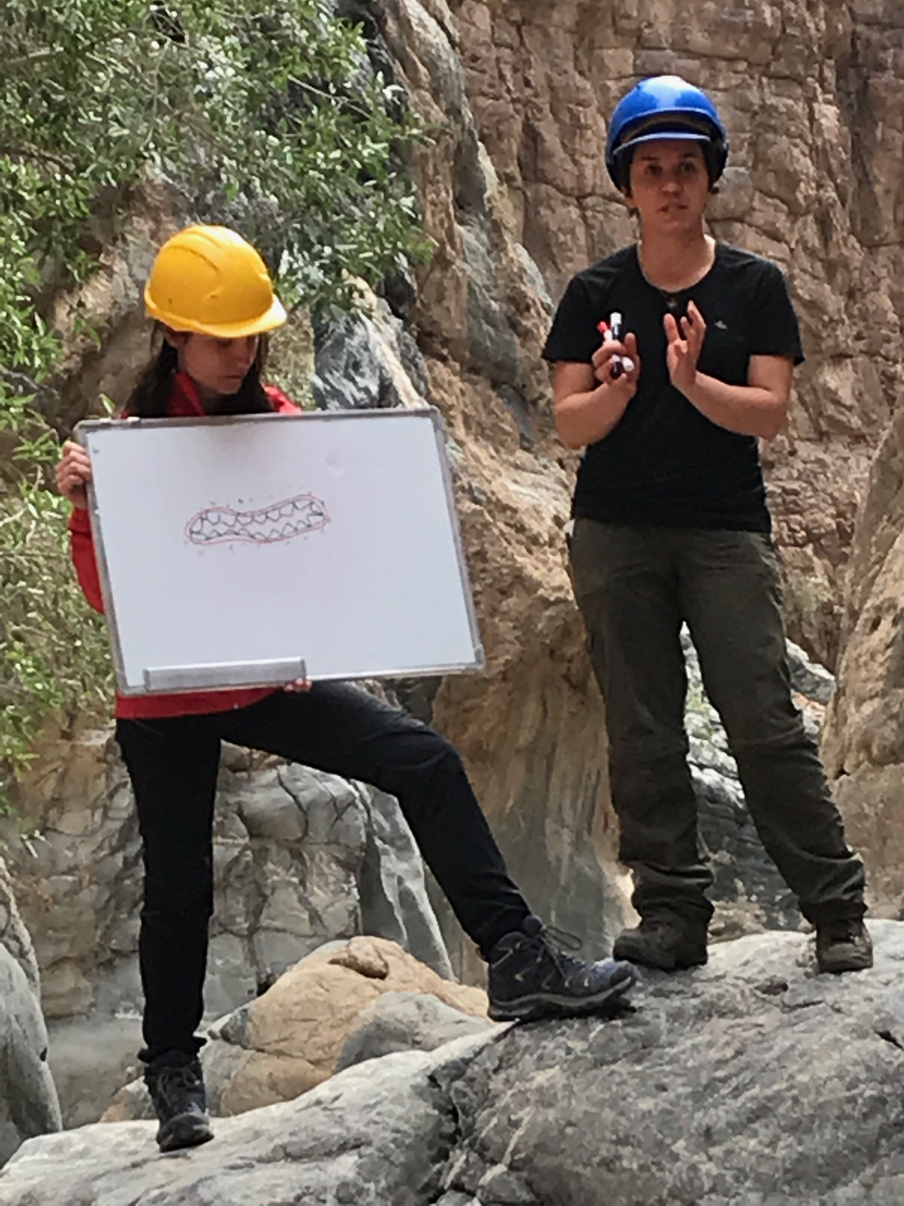 Oman field course