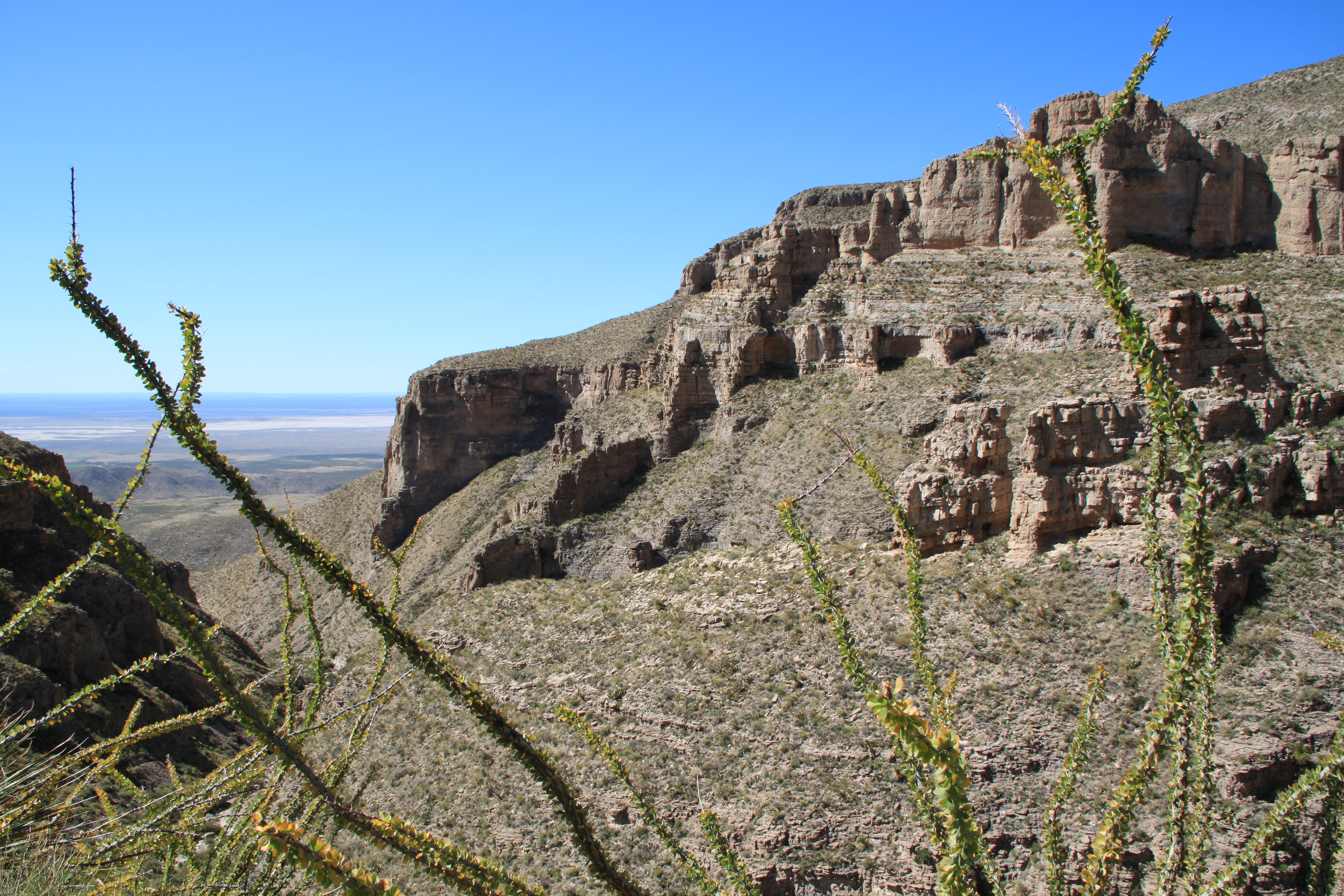 Permian Basin field course