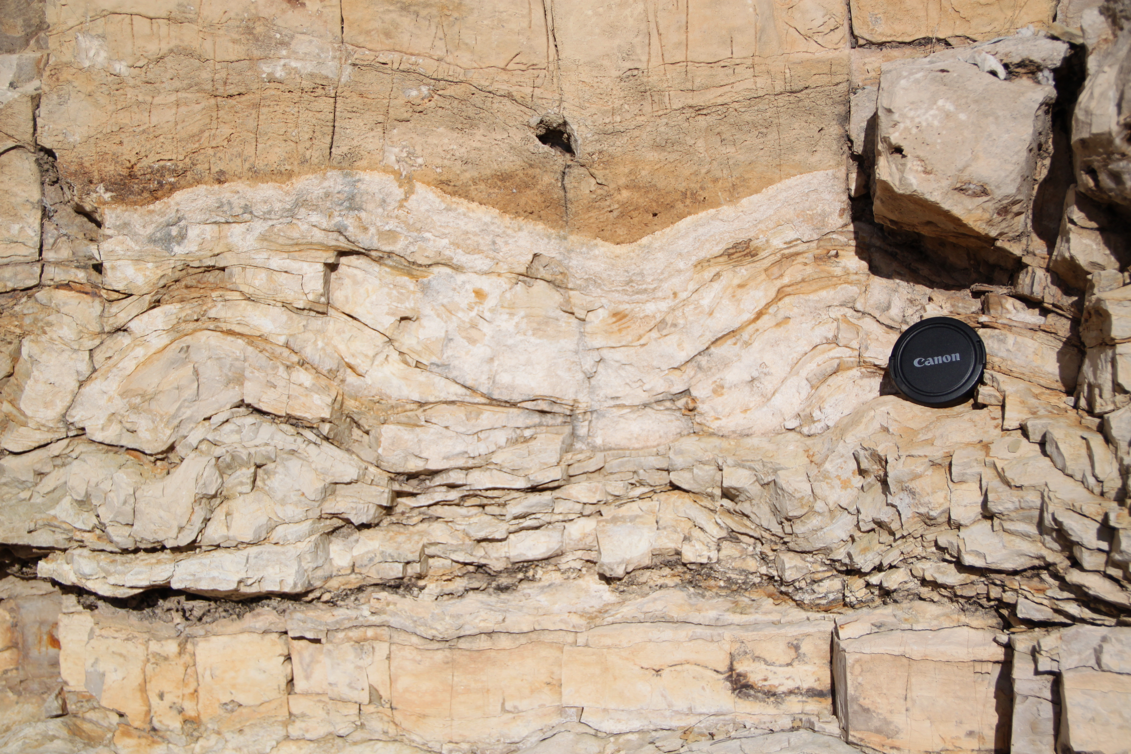 Permian Basin field course