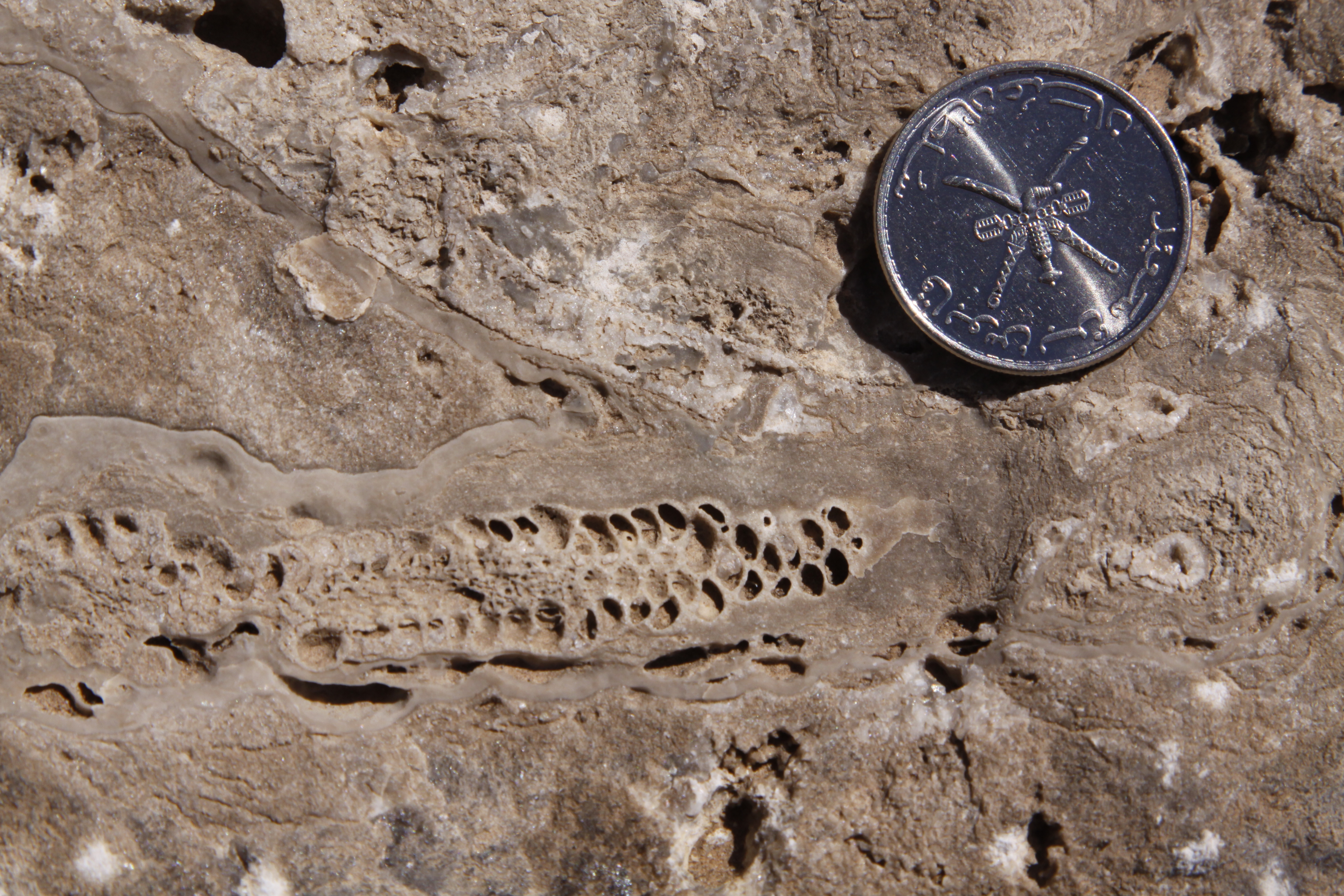 Permian Basin field course