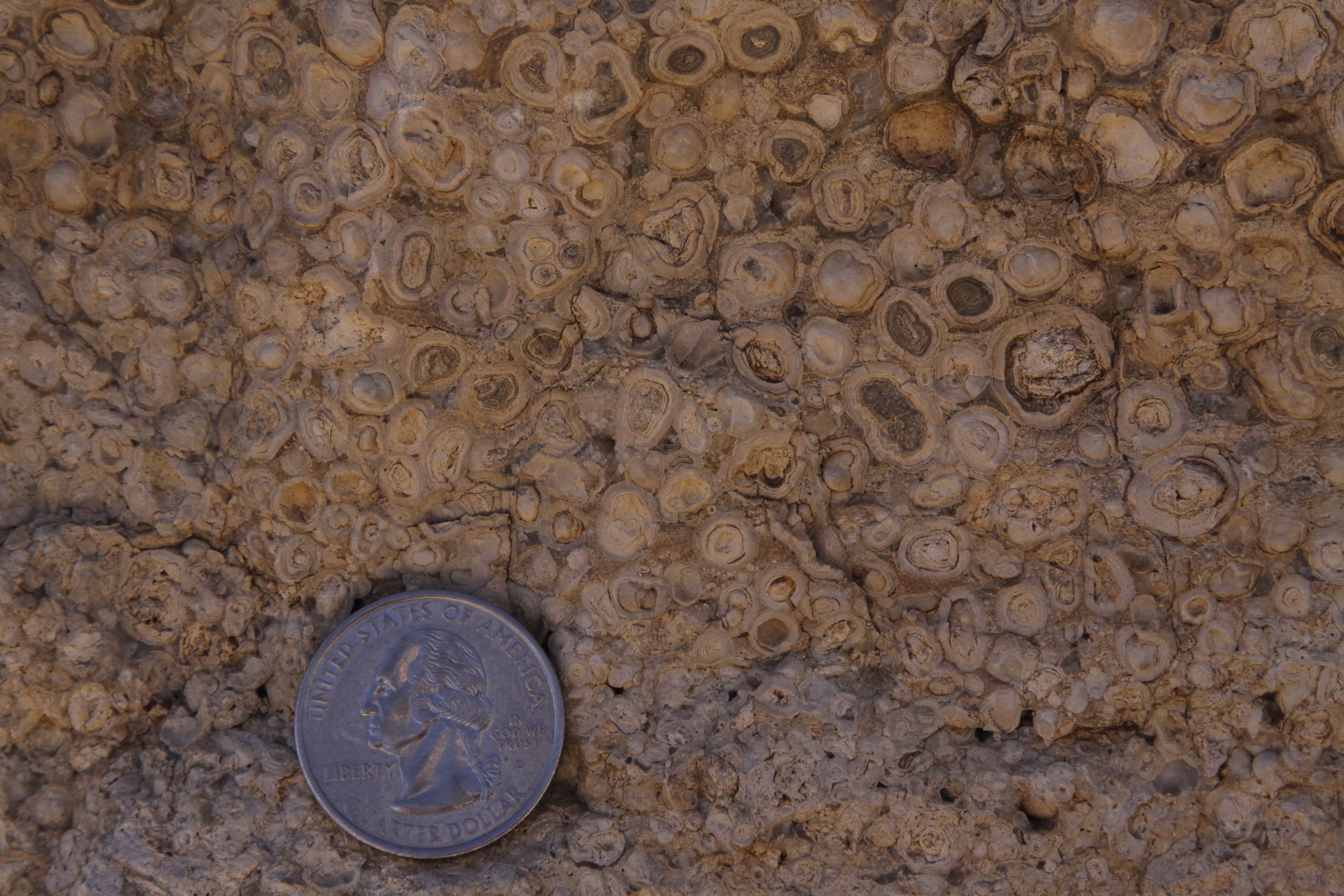 Permian Basin field course
